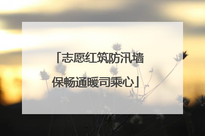 志愿红筑防汛墙 保畅通暖司乘心