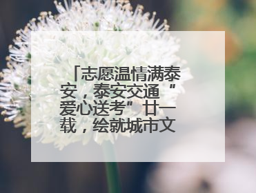 志愿温情满泰安，泰安交通“爱心送考”廿一载，绘就城市文明逐梦画卷