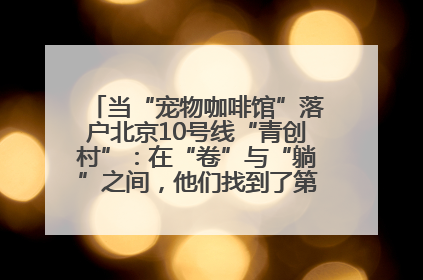 当“宠物咖啡馆”落户北京10号线“青创村”：在“卷”与“躺”之间，他们找到了第三种生活公式