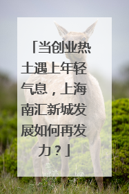 当创业热土遇上年轻气息，上海南汇新城发展如何再发力？