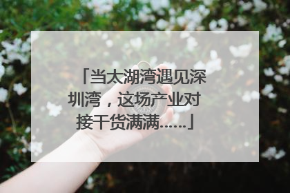 当太湖湾遇见深圳湾，这场产业对接干货满满……