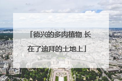 德兴的多肉植物 长在了迪拜的土地上