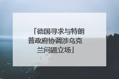 德国寻求与特朗普政府协调涉乌克兰问题立场