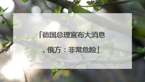 德国总理宣布大消息，俄方：非常危险