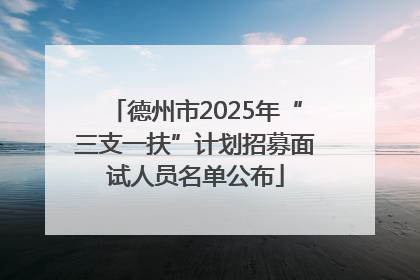 德州市2025年“三支一扶”计划招募面试人员名单公布