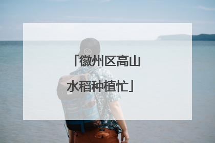 徽州区高山水稻种植忙