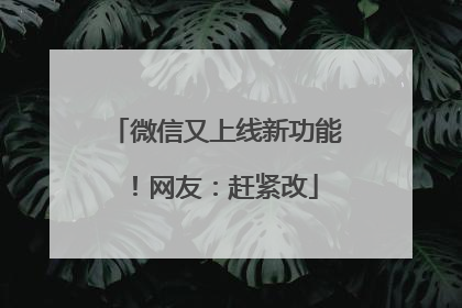 微信又上线新功能！网友：赶紧改