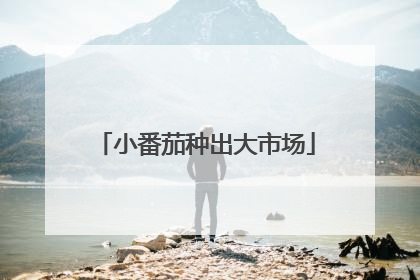 小番茄种出大市场
