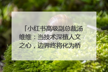 小红书高级副总裁汤维维：当技术深植人文之心，边界终将化为桥梁｜聚焦2025文化强国建设高峰论坛