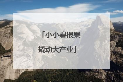 小小碧根果撬动大产业