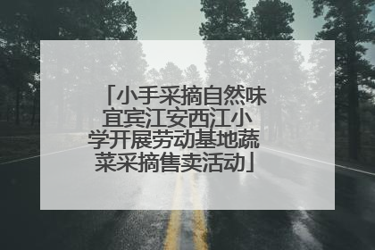 小手采摘自然味 宜宾江安西江小学开展劳动基地蔬菜采摘售卖活动