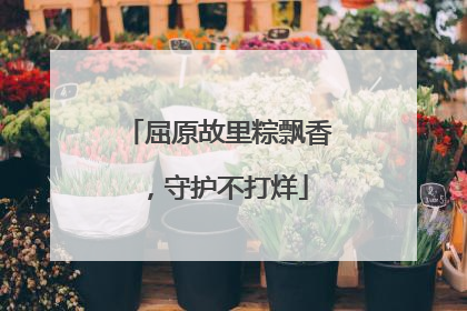 屈原故里粽飘香，守护不打烊