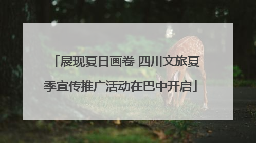 展现夏日画卷 四川文旅夏季宣传推广活动在巴中开启