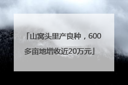 山窝头里产良种，600多亩地增收近20万元