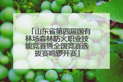 山东省第四届国有林场森林防火职业技能竞赛暨全国竞赛选拔赛鸣锣开赛
