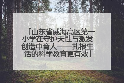 山东省威海高区第一小学在守护天性与激发创造中育人——扎根生活的科学教育更有效