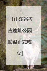 山东省考古遗址公园联盟正式成立