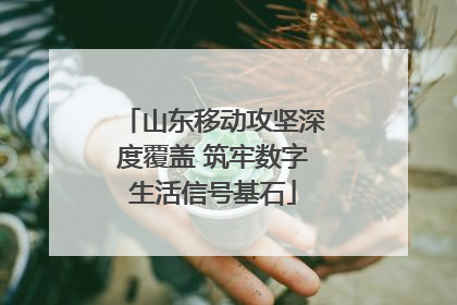 山东移动攻坚深度覆盖 筑牢数字生活信号基石
