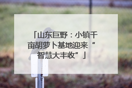 山东巨野：小镇千亩胡萝卜基地迎来“智慧大丰收”