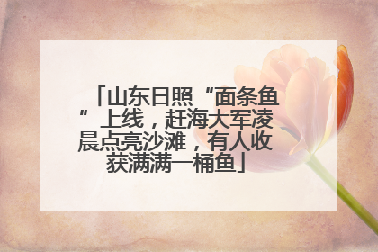 山东日照“面条鱼”上线，赶海大军凌晨点亮沙滩，有人收获满满一桶鱼