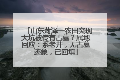 山东菏泽一农田突现大坑被传有古墓？属地回应：系老井，无古墓迹象，已回填