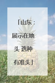 山东：展示在地头 选种有准头