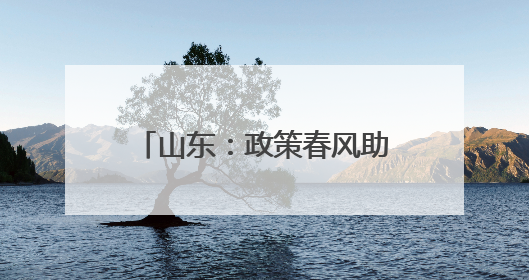 山东：政策春风助求职者 从“稳岗”迈向“创业”