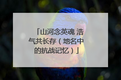 山河念英魂 浩气共长存（地名中的抗战记忆）