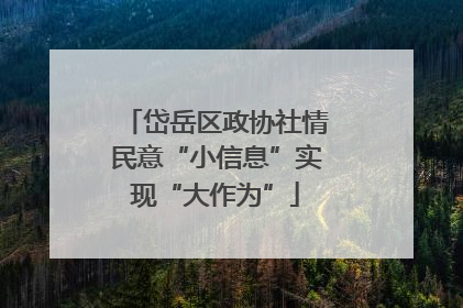 岱岳区政协社情民意“小信息”实现“大作为”