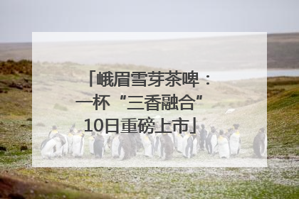 峨眉雪芽茶啤：一杯“三香融合”10日重磅上市