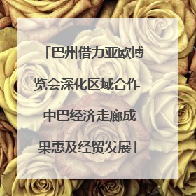 巴州借力亚欧博览会深化区域合作 中巴经济走廊成果惠及经贸发展