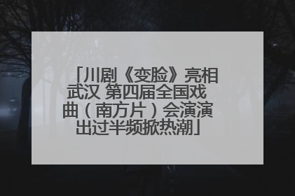 川剧《变脸》亮相武汉 第四届全国戏曲（南方片）会演演出过半频掀热潮
