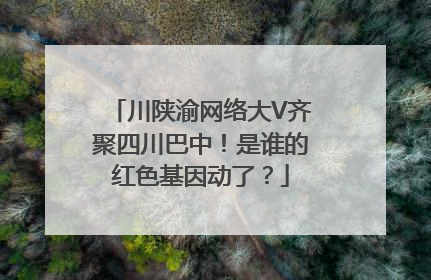 川陕渝网络大V齐聚四川巴中！是谁的红色基因动了？