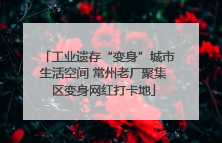 工业遗存“变身”城市生活空间 常州老厂聚集区变身网红打卡地