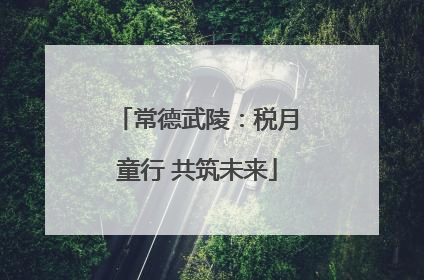 常德武陵：税月童行 共筑未来