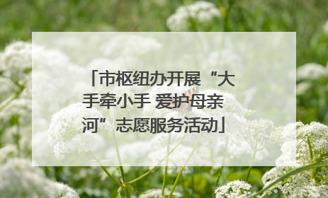 市枢纽办开展“大手牵小手 爱护母亲河”志愿服务活动