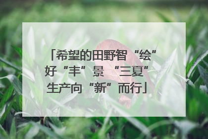 希望的田野智“绘”好“丰”景 “三夏”生产向“新”而行