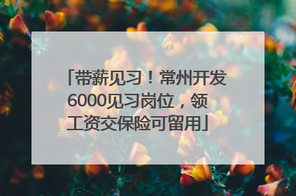 带薪见习！常州开发6000见习岗位，领工资交保险可留用