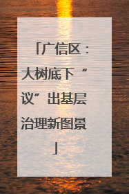 广信区：大树底下“议”出基层治理新图景
