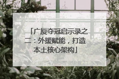 广厦夺冠启示录之二：外援赋能，打造本土核心架构