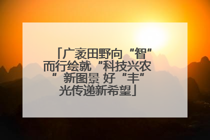 广袤田野向“智”而行绘就“科技兴农”新图景 好“丰”光传递新希望
