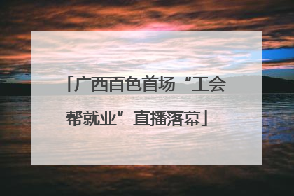 广西百色首场“工会帮就业”直播落幕