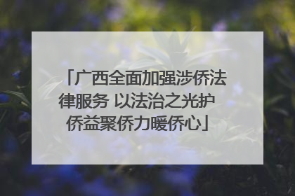 广西全面加强涉侨法律服务 以法治之光护侨益聚侨力暖侨心