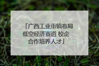 广西工业重镇布局低空经济赛道 校企合作培养人才
