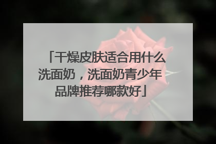 干燥皮肤适合用什么洗面奶，洗面奶青少年品牌推荐哪款好