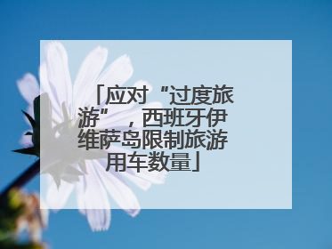 应对“过度旅游”，西班牙伊维萨岛限制旅游用车数量