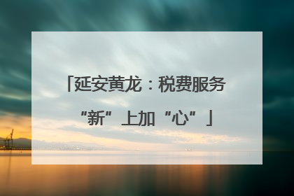 延安黄龙：税费服务“新”上加“心”