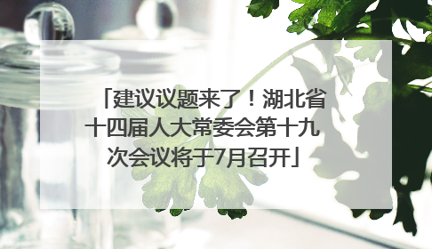 建议议题来了！湖北省十四届人大常委会第十九次会议将于7月召开