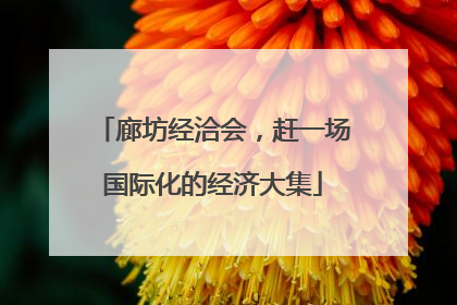 廊坊经洽会，赶一场国际化的经济大集