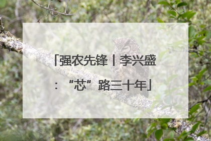 强农先锋丨李兴盛：“芯”路三十年